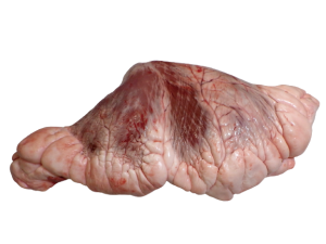 ハツ